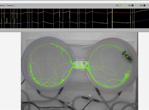 穿梭池動物喜好度觀測系統