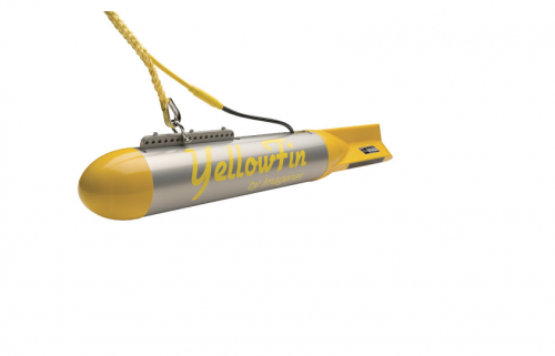 Imagenex 872型YELLOWFIN聲吶生命探測儀 側掃聲吶