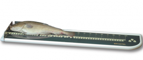 魚類生物學(xué)電子測量系統(tǒng)